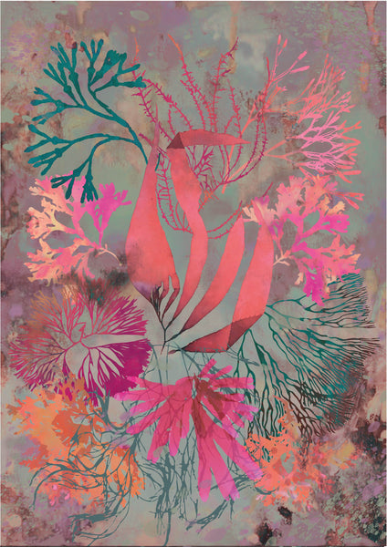 Shore Florals (Hot Corals)